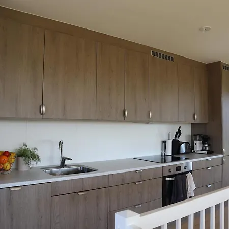 4 Star In Tatil Evi Sondeled
